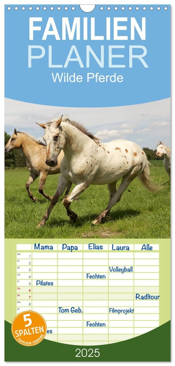 Familienplaner 2025 - Wilde Pferde mit 5 Spalten (Wandkalender, 21 cm x 45 cm), CALVENDO: zauberhafte Wesen begleiten uns durch das Jahr (CALVENDO Tiere) Natural Sciences