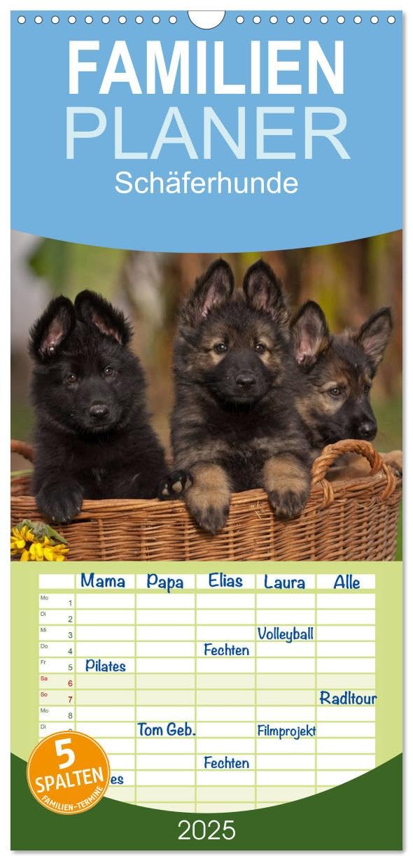 Familienplaner 2025 - Der Schäferhunde Familienplaner hoch mit 5 Spalten (Wandkalender, 21 cm x 45 cm), CALVENDO: Immerwährender Geburtstagskalender (CALVENDO Tiere) Lifestyle