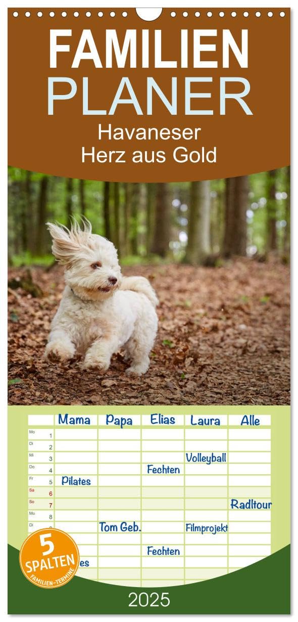 Familienplaner 2025 - Havaneser - Herz aus Gold mit 5 Spalten (Wandkalender, 21 cm x 45 cm), CALVENDO: Havaneser Monatskalender. Ein Jahr mit dem Hund mit dem Herzen aus Gold (CALVENDO Tiere) Calendars