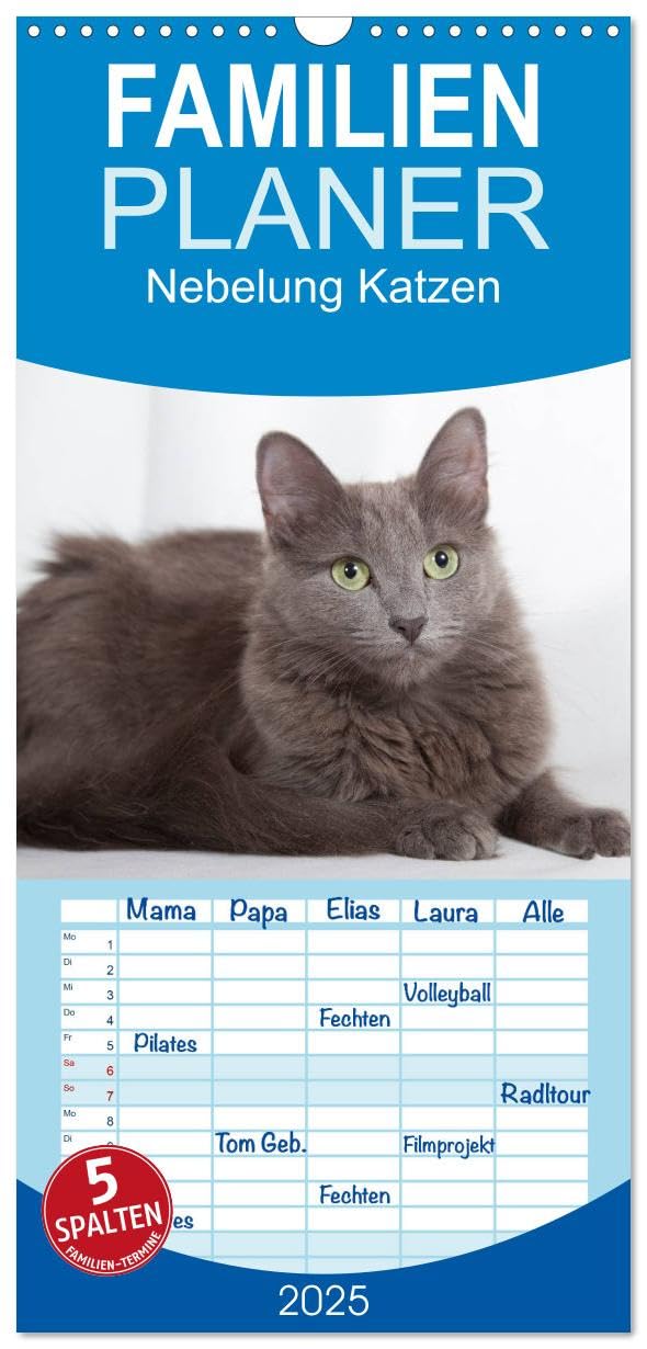 Familienplaner 2025 - Nebelung Katzen mit 5 Spalten (Wandkalender, 21 cm x 45 cm), CALVENDO: Elegante und sanfte Rassekatzen (CALVENDO Tiere) Pets