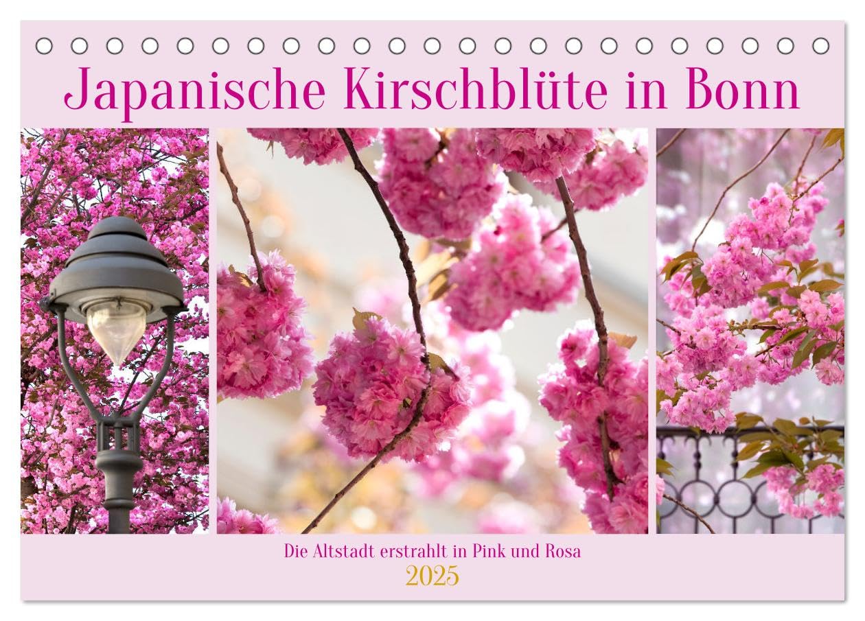 Japanische Kirschblüte in Bonn (Tischkalender 2025 DIN A5 quer), CALVENDO Monatskalender: Die Altstadt erstrahlt in Pink und Rosa (CALVENDO Orte) Leisure, Home & Garden
