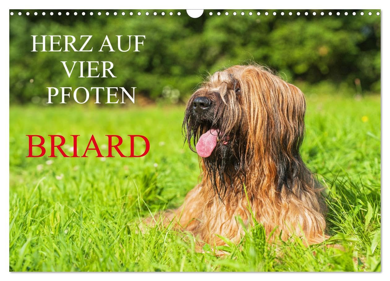 Herz auf vier Pfoten - Briard (Wandkalender 2025 DIN A3 quer), CALVENDO Monatskalender: Auf 13 traumhaft schönen Fotos zeigt die Tierfotografin Sigrid Starick diese schöne Hunderasse (CALVENDO Tiere) Natural Sciences