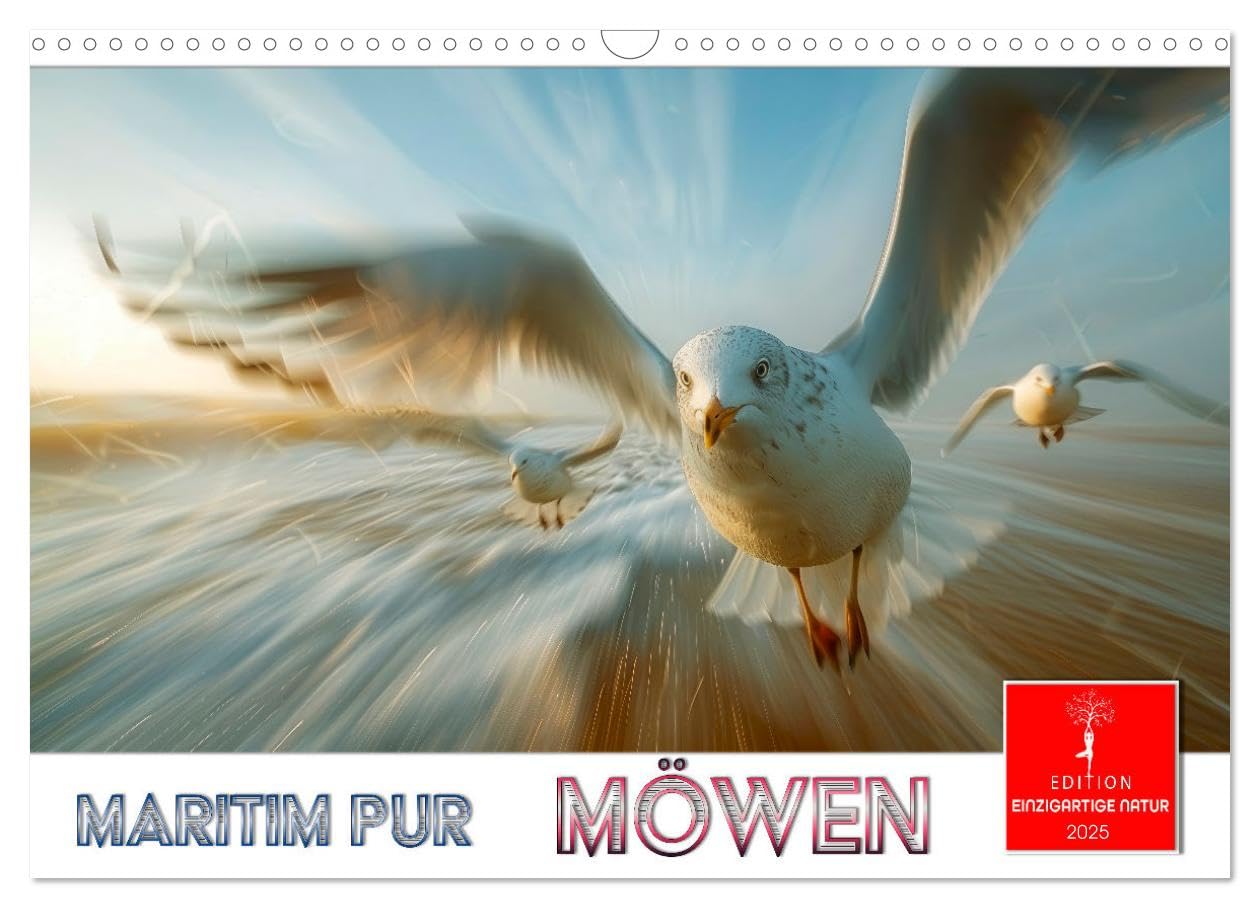 Maritim pur - Möwen (Wandkalender 2025 DIN A3 quer), CALVENDO Monatskalender: Unverkennbare Meeresvögel mit besonderem Charme. (CALVENDO Tiere) Living & Furnishing