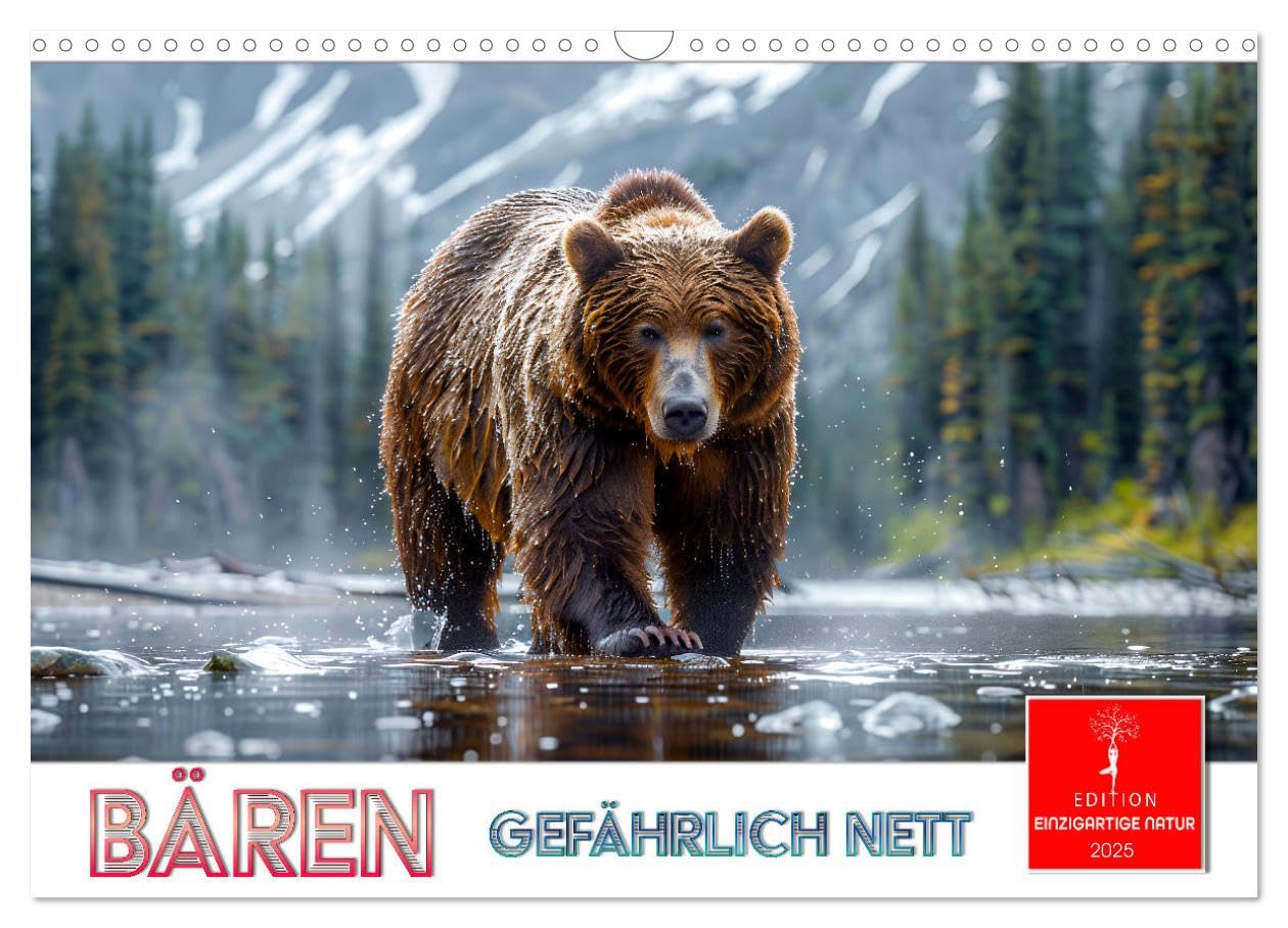 Bären - gefährlich nett (Wandkalender 2025 DIN A3 quer), CALVENDO Monatskalender: Das größte Landraubtier Europas in seiner Lebenswelt (CALVENDO Tiere) Living & Furnishing