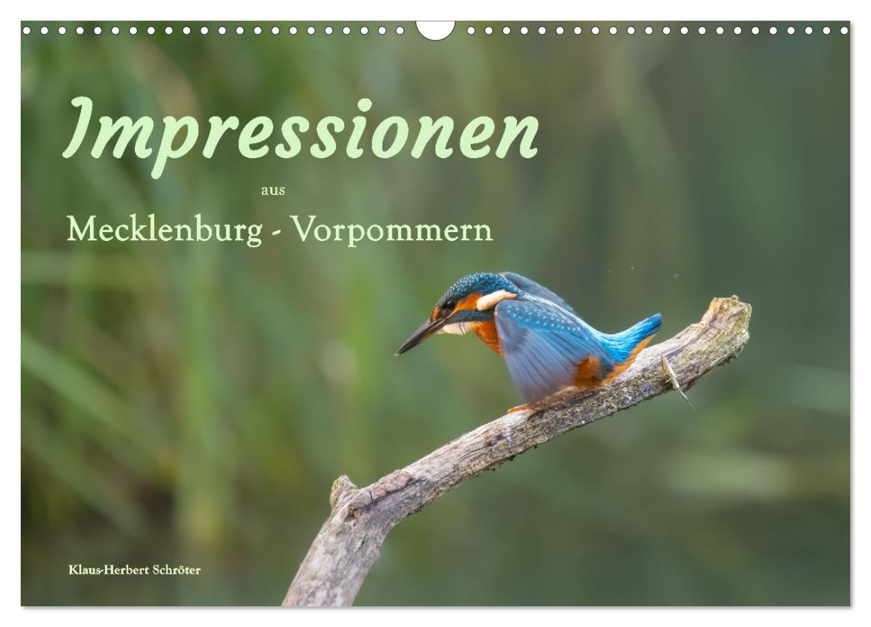Impressionen aus Mecklenburg - Vorpommern (Wandkalender 2025 DIN A3 quer), CALVENDO Monatskalender: Eine Bildreise durch die Jahreszeiten in Mecklenburg-Vorpommern (CALVENDO Natur) Film, Art & Culture