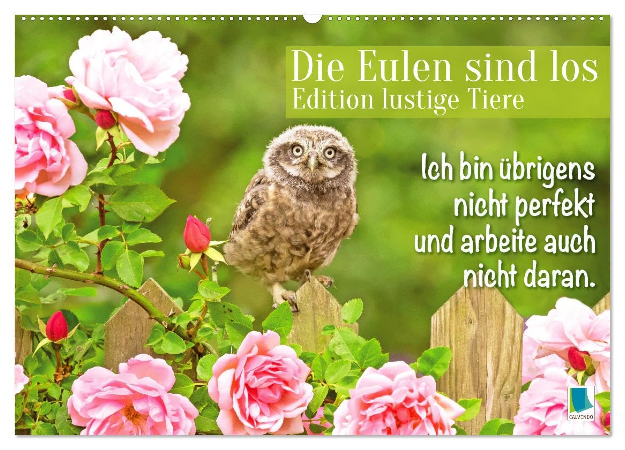 Die Eulen sind los: Edition lustige Tiere (Wandkalender 2025 DIN A2 quer), CALVENDO Monatskalender: Spaß mit Eule, Uhu und Kauz und mit flotten Sprüchen und viel Humor (CALVENDO Spass) Lifestyle