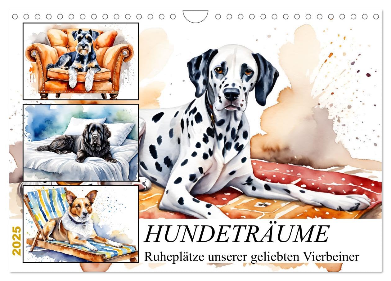Hundeträume (Wandkalender 2025 DIN A4 quer), CALVENDO Monatskalender: Ruheplätze unserer geliebten Vierbeiner (CALVENDO Tiere) Natural Sciences