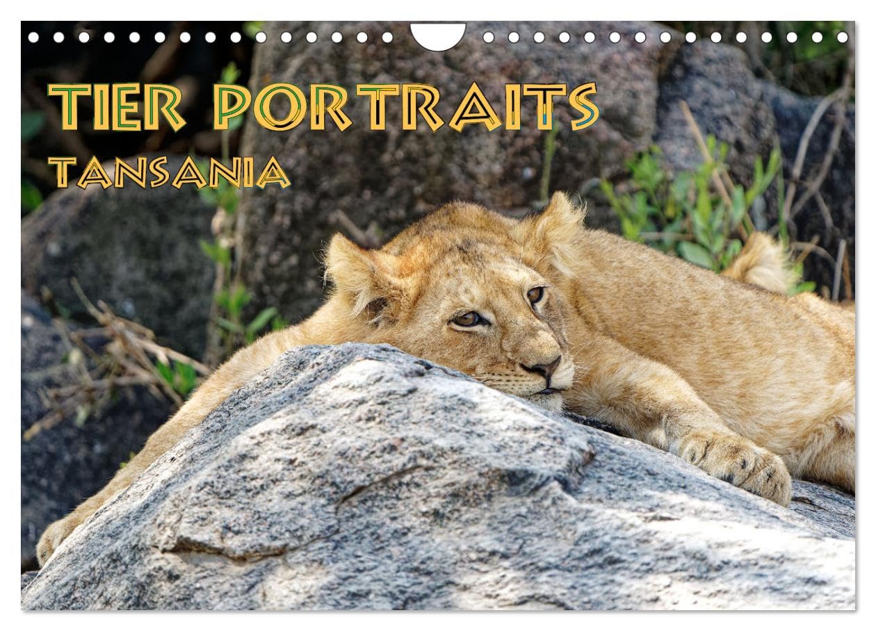 Tier Portraits Tansania (Wandkalender 2025 DIN A4 quer), CALVENDO Monatskalender: Die Schönheit und Einzigartigkeit der Tierwelt Tansanias eingefangen in ausdrucksstarken Bildern (CALVENDO Tiere) Natural Sciences