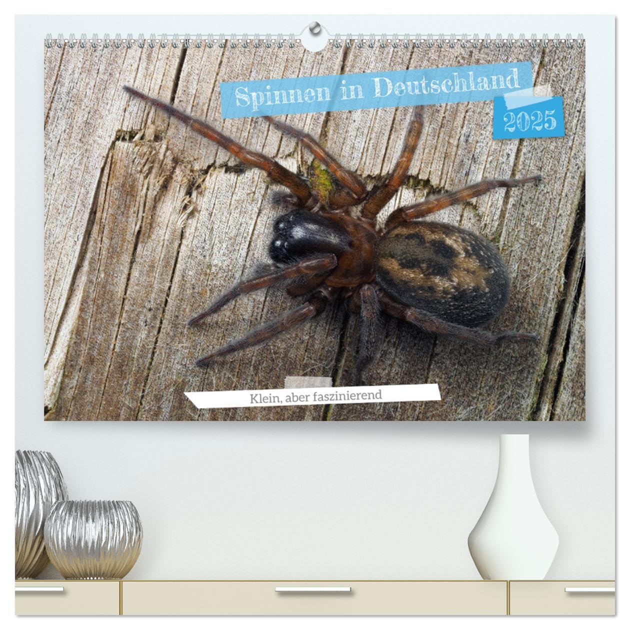 Spinnen in Deutschland (hochwertiger Premium Wandkalender 2025 DIN A2 quer), Kunstdruck in Hochglanz: Naturwunder ganz nah: Spinnenkalender für Dein Zuhause. (CALVENDO Tiere) Business & Technology