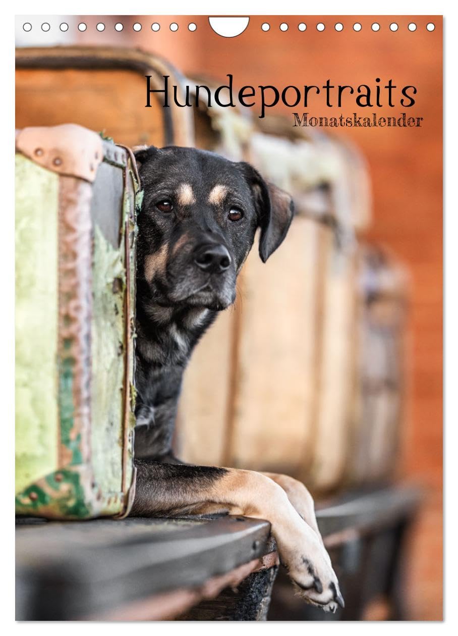 Hundeportraits - Monatskalender (Wandkalender 2025 DIN A4 hoch), CALVENDO Monatskalender: Charmante und einzigartige Hundeportraits (CALVENDO Tiere) Natural Sciences