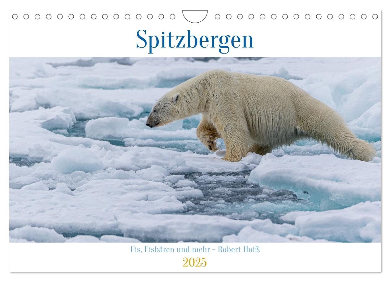 Spitzbergen - Eis, Eisbären und mehr (Wandkalender 2025 DIN A4 quer), CALVENDO Monatskalender Leisure, Home & Garden