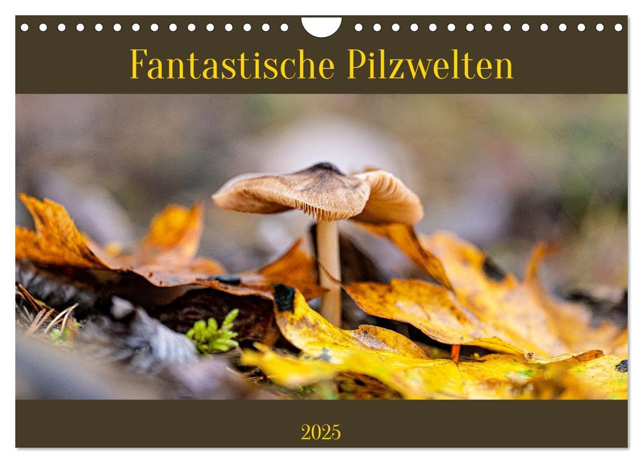 Fantastische Pilzwelten (Wandkalender 2025 DIN A4 quer), CALVENDO Monatskalender: Pilze sind unglaublich vielfältig. (CALVENDO Natur) Social Sciences
