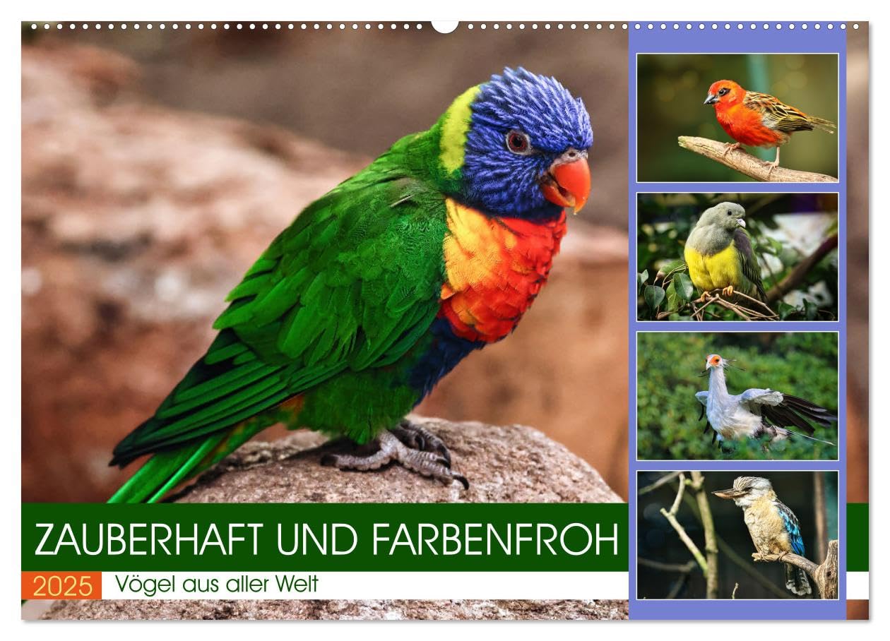 Zauberhaft und farbenfroh (Wandkalender 2025 DIN A2 quer), CALVENDO Monatskalender: Vögel aus aller Welt (CALVENDO Tiere) Social Sciences