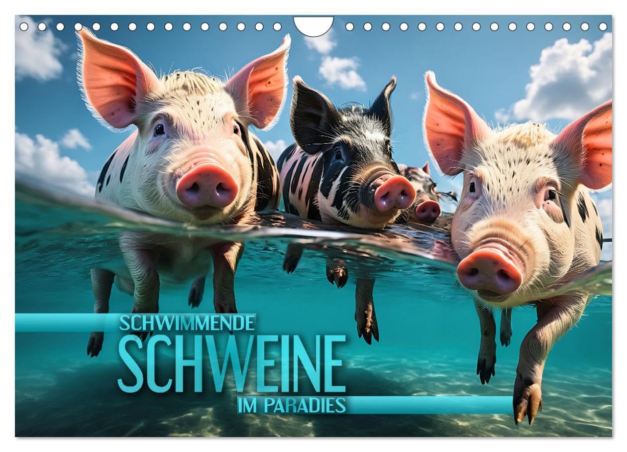 Schwimmende Schweine im Paradies (Wandkalender 2026 DIN A4 quer), CALVENDO Monatskalender: Niedliche Schweinchen tummeln sich an den traumhaften ... in kristallklaren Gewässern (CALVENDO Tiere) Film, Art & Culture