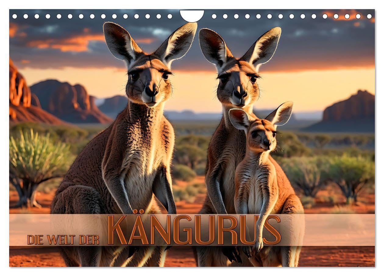 Die Welt der Kängurus (Wandkalender 2026 DIN A4 quer), CALVENDO Monatskalender: Herzerwärmenden Bilder niedlicher Beuteltiere im australischen Outback (CALVENDO Tiere) Film, Art & Culture