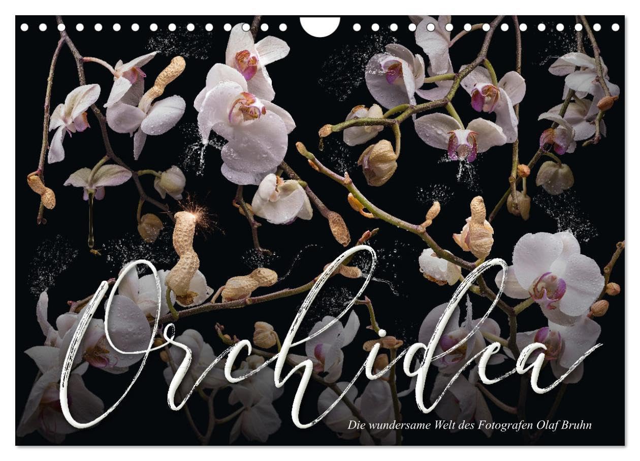 Orchidea (Wandkalender 2026 DIN A4 quer), CALVENDO Monatskalender: 12 fantastische und humorvolle Foto-Kompositionen des Schöneicher Fotografen Olaf Bruhn. (CALVENDO Natur) Photography