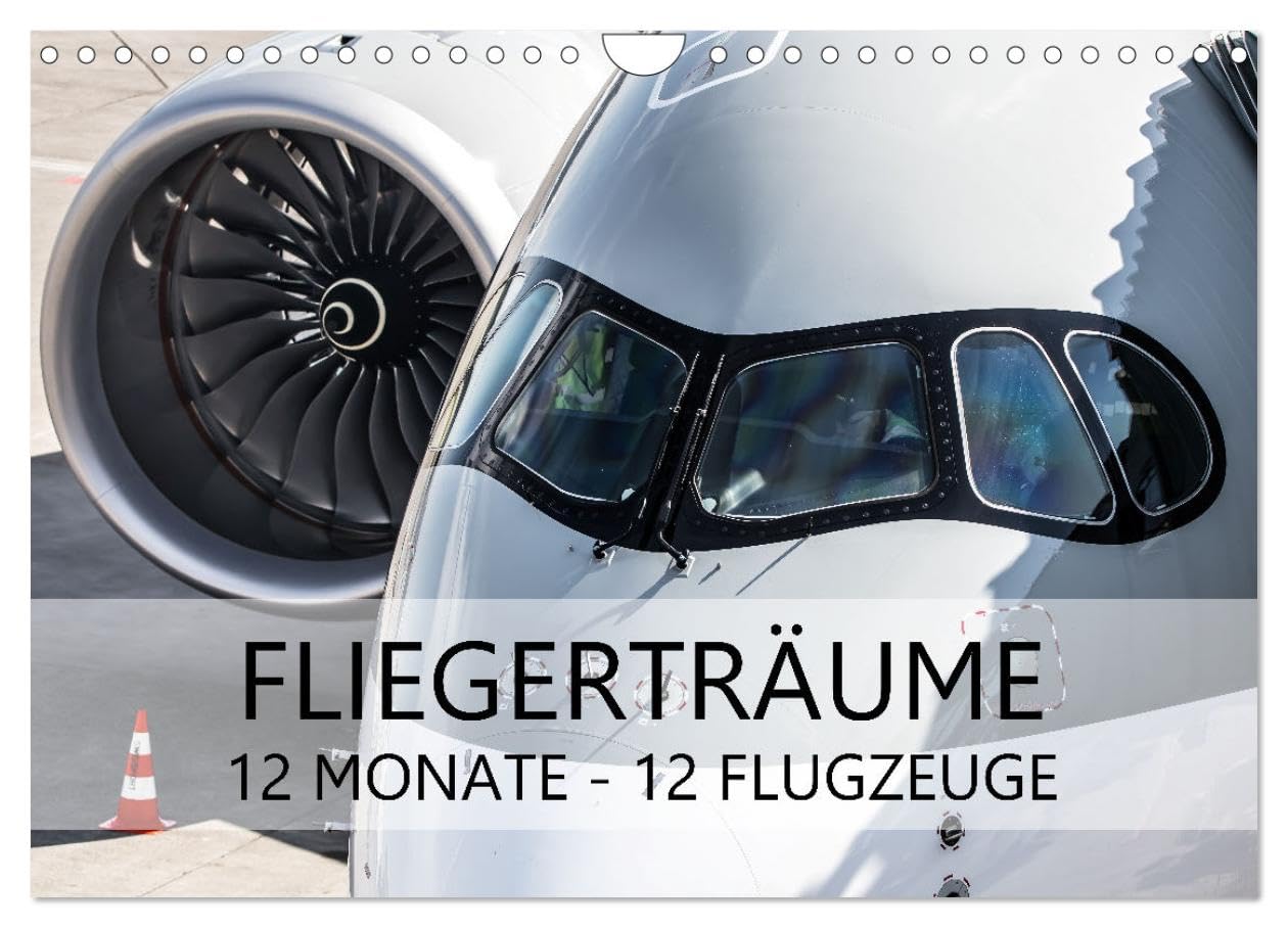 Fliegerträume: 12 Monate, 12 Flugzeuge (Wandkalender 2026 DIN A4 quer), CALVENDO Monatskalender Business & Technology