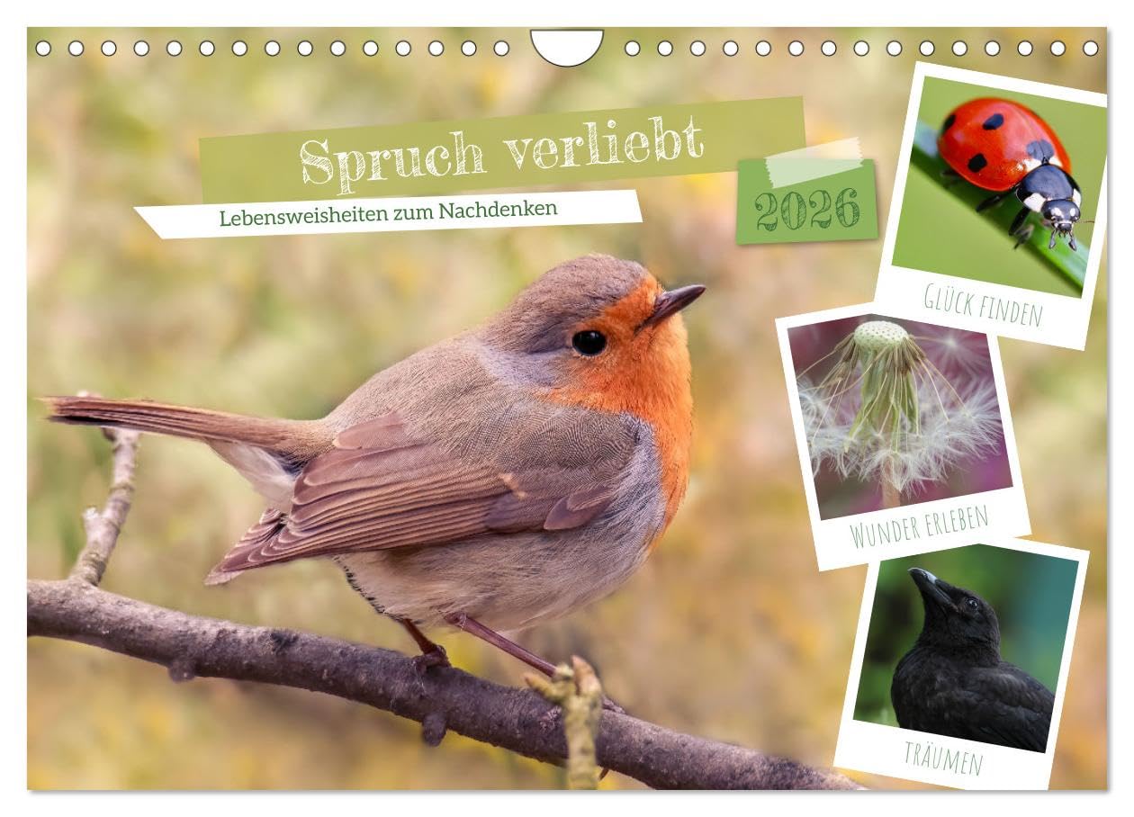 Spruch verliebt (Wandkalender 2026 DIN A4 quer), CALVENDO Monatskalender Film, Art & Culture