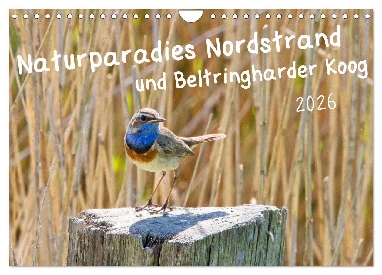 Naturparadies Nordstrand und Beltringharder Koog (Wandkalender 2026 DIN A4 quer), CALVENDO Monatskalender Natural Sciences