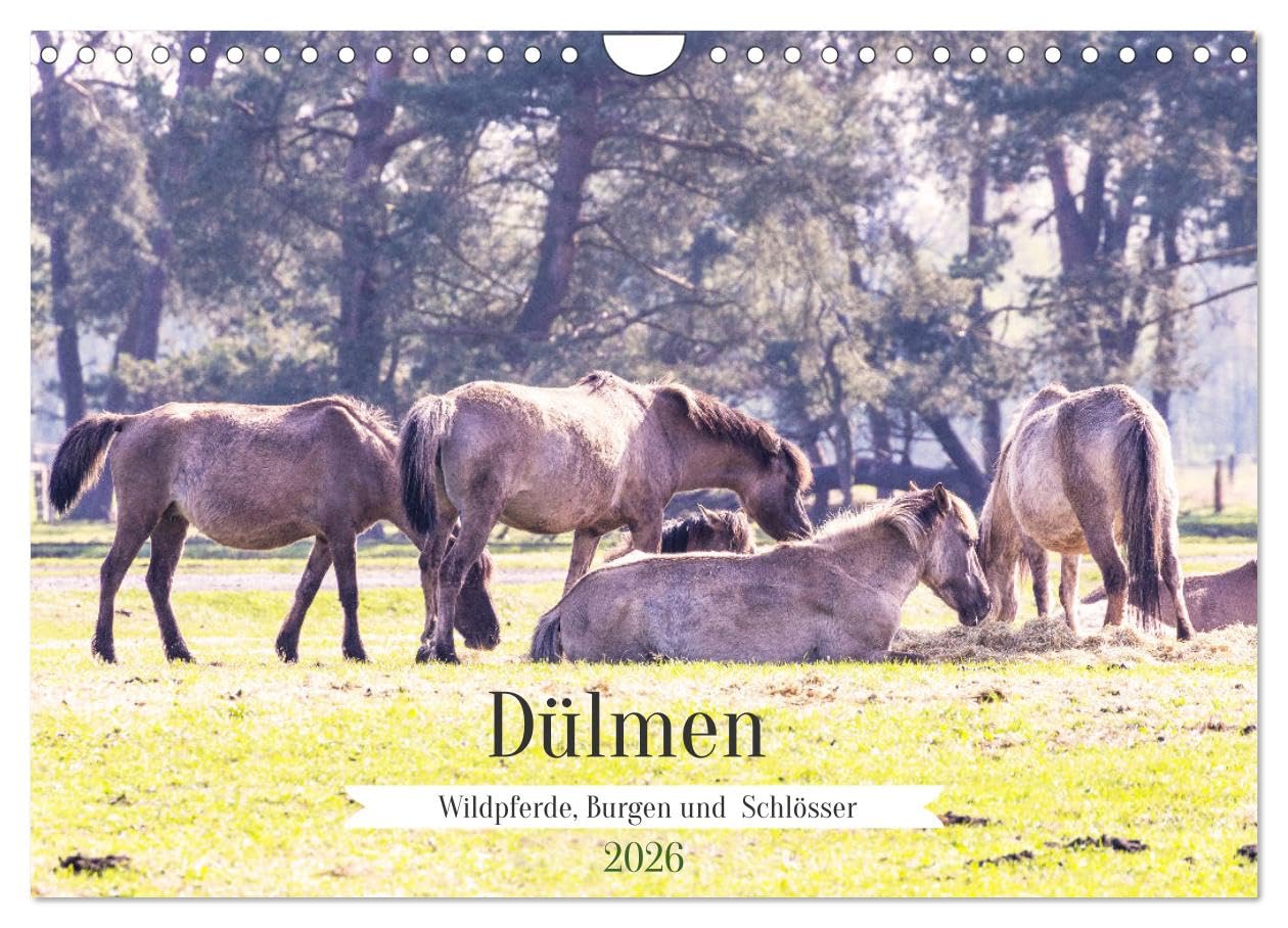 Dülmen - Wildpferde, Burgen und Schlösser (Wandkalender 2026 DIN A4 quer), CALVENDO Monatskalender Leisure, Home & Garden
