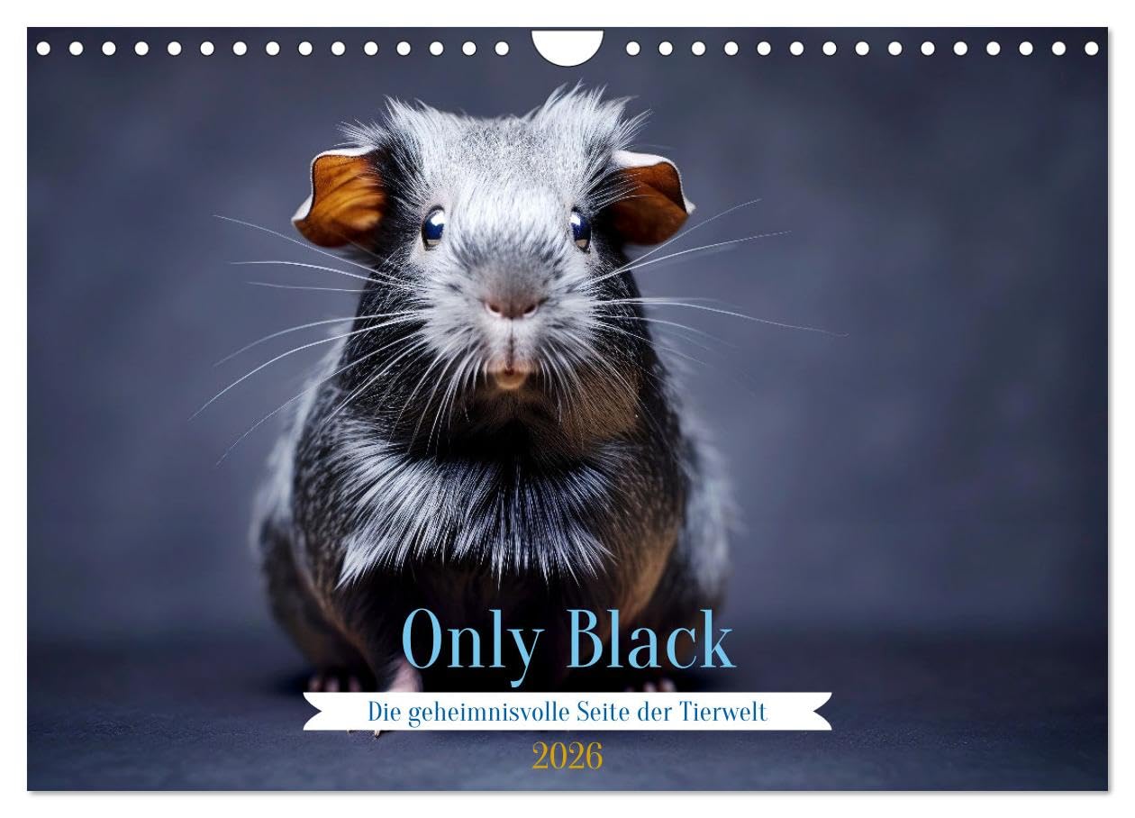 Only Black (Wandkalender 2026 DIN A4 quer), CALVENDO Monatskalender Natural Sciences