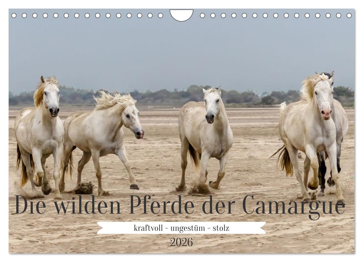 Die wilden Pferde der Camargue (Wandkalender 2026 DIN A4 quer), CALVENDO Monatskalender Leisure, Home & Garden