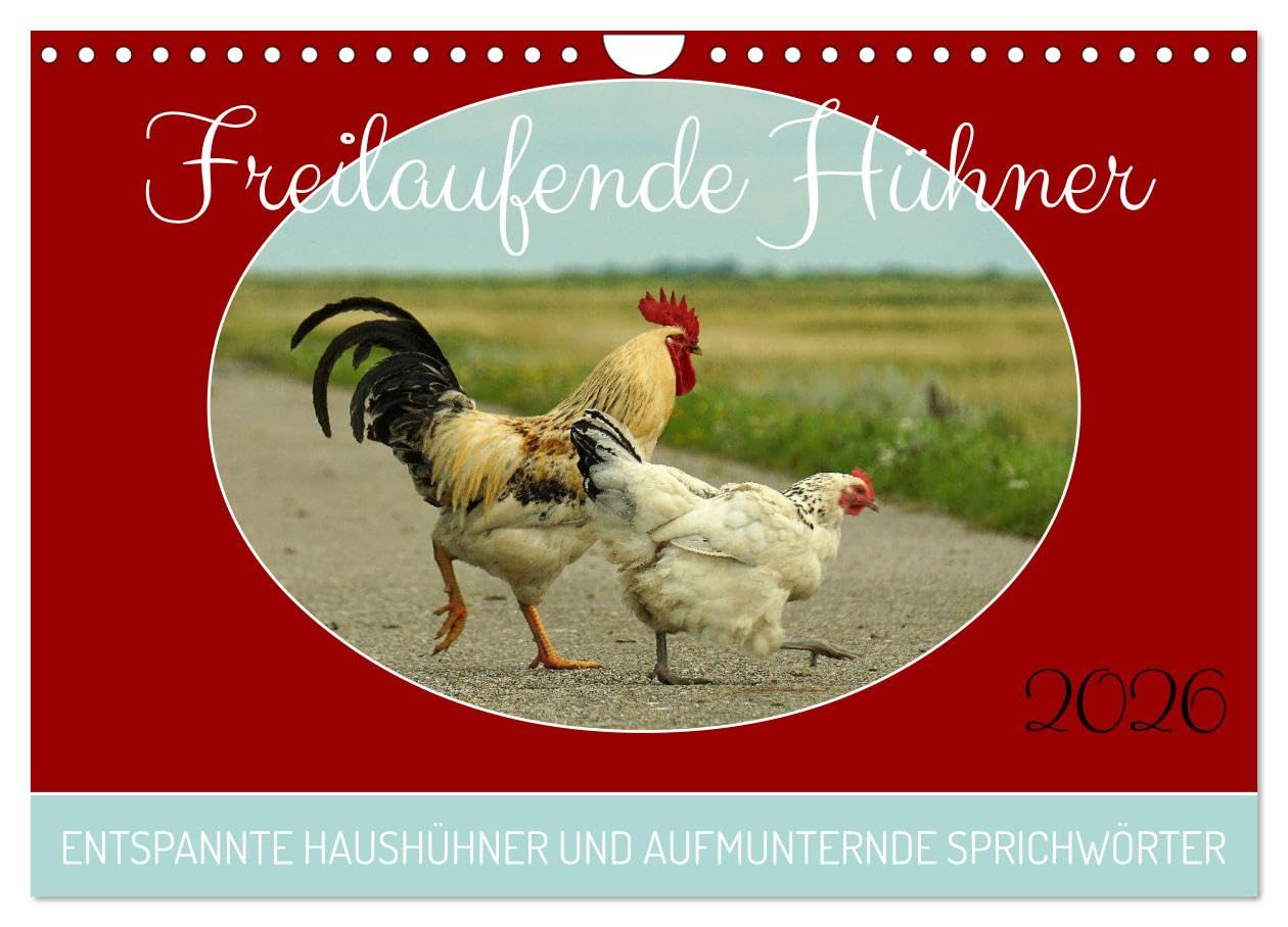 Freilaufende Hühner (Wandkalender 2026 DIN A4 quer), CALVENDO Monatskalender Natural Sciences