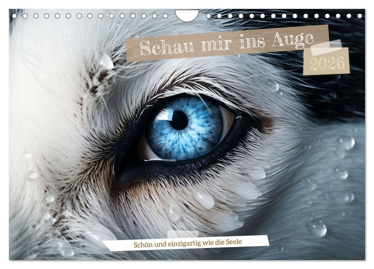 Schau mir ins Auge (Wandkalender 2026 DIN A4 quer), CALVENDO Monatskalender Natural Sciences