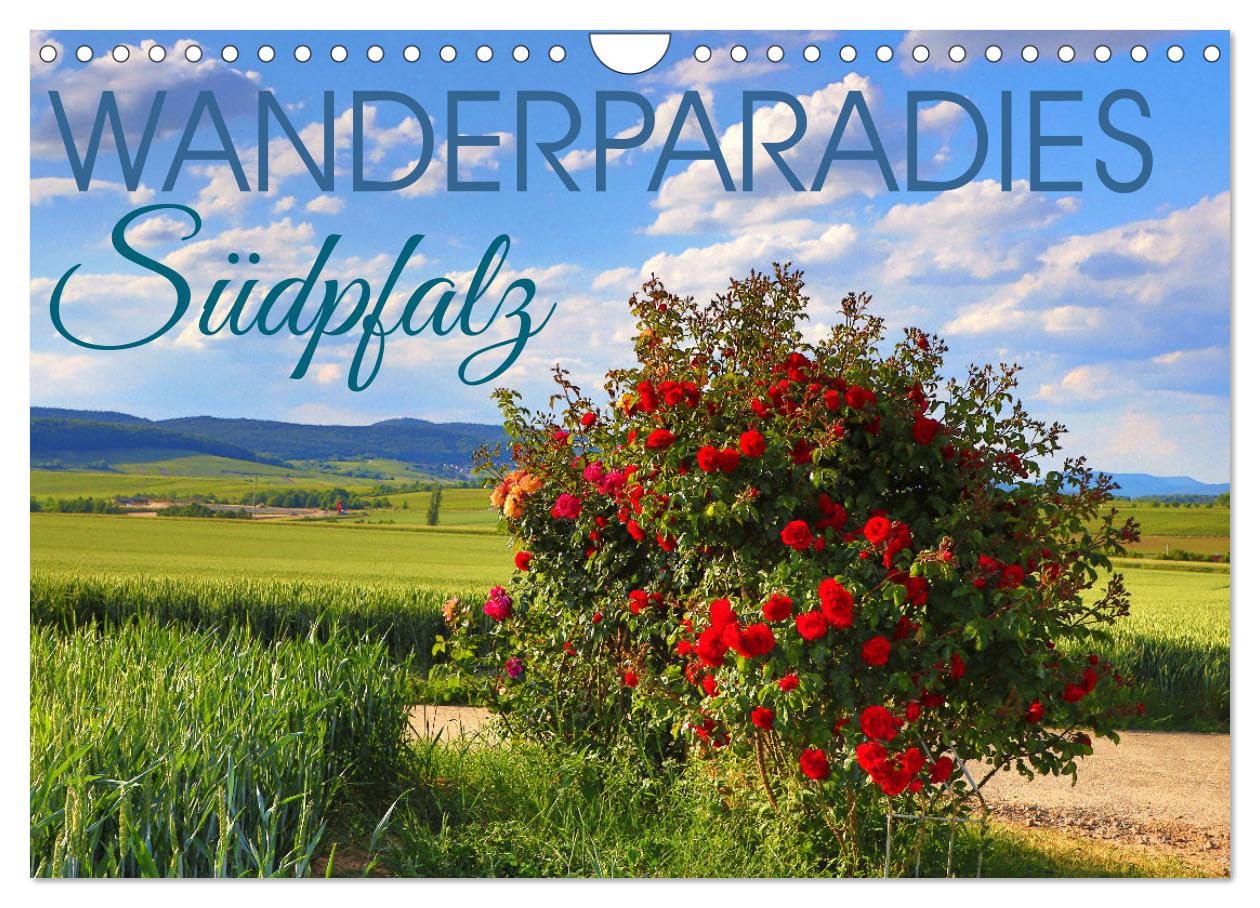 Wanderparadies Südpfalz (Wandkalender 2026 DIN A4 quer), CALVENDO Monatskalender Film, Art & Culture
