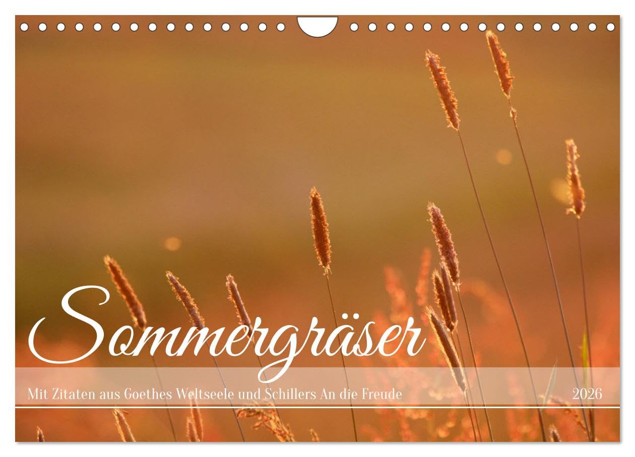 Sommergräser (Wandkalender 2026 DIN A4 quer), CALVENDO Monatskalender Film, Art & Culture