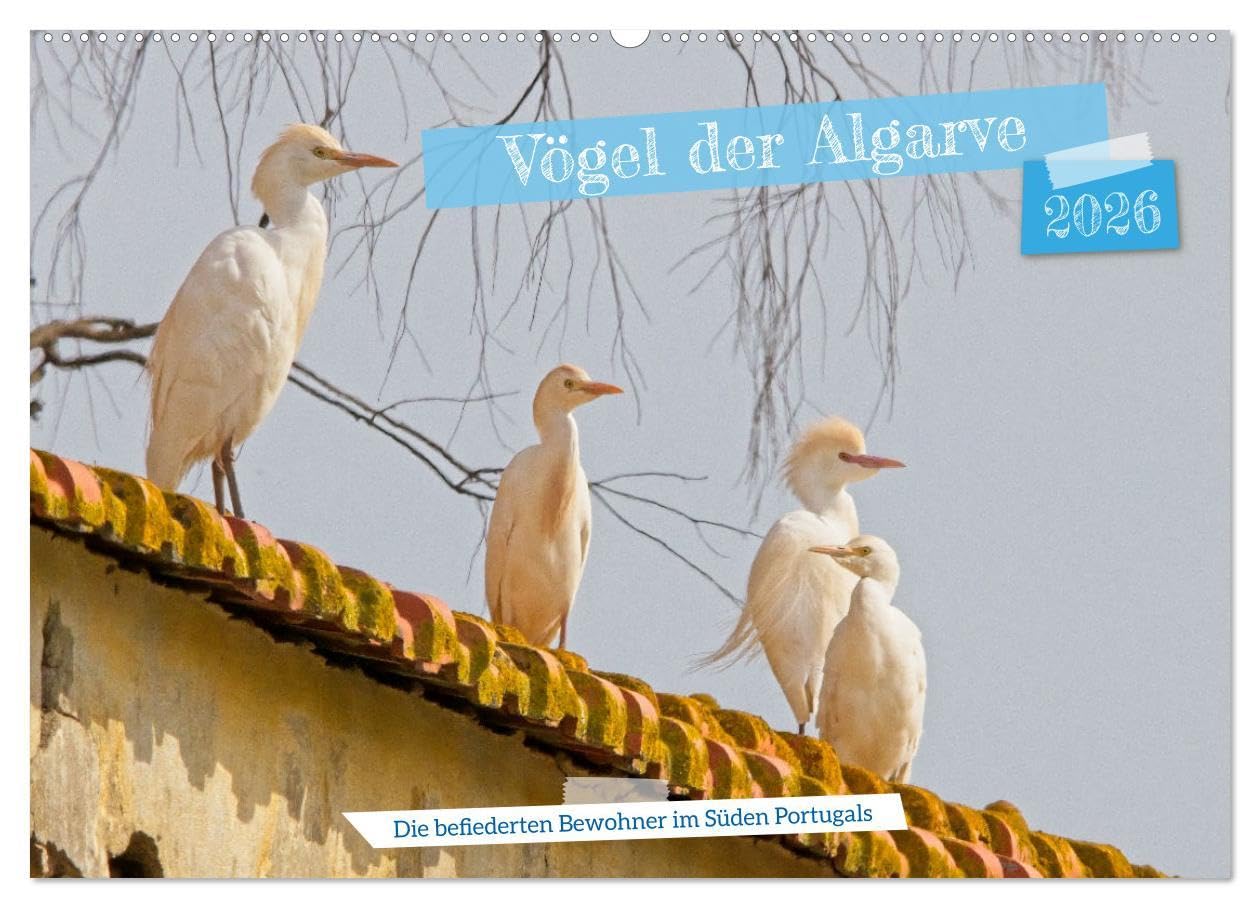 Vögel der Algarve (Wandkalender 2026 DIN A2 quer), CALVENDO Monatskalender: Die wunderbare Vogelwelt der Algarve, von den kleinsten bis zu den größten ... Bewohner im Süden Portugals (CALVENDO Tiere) Natural Sciences