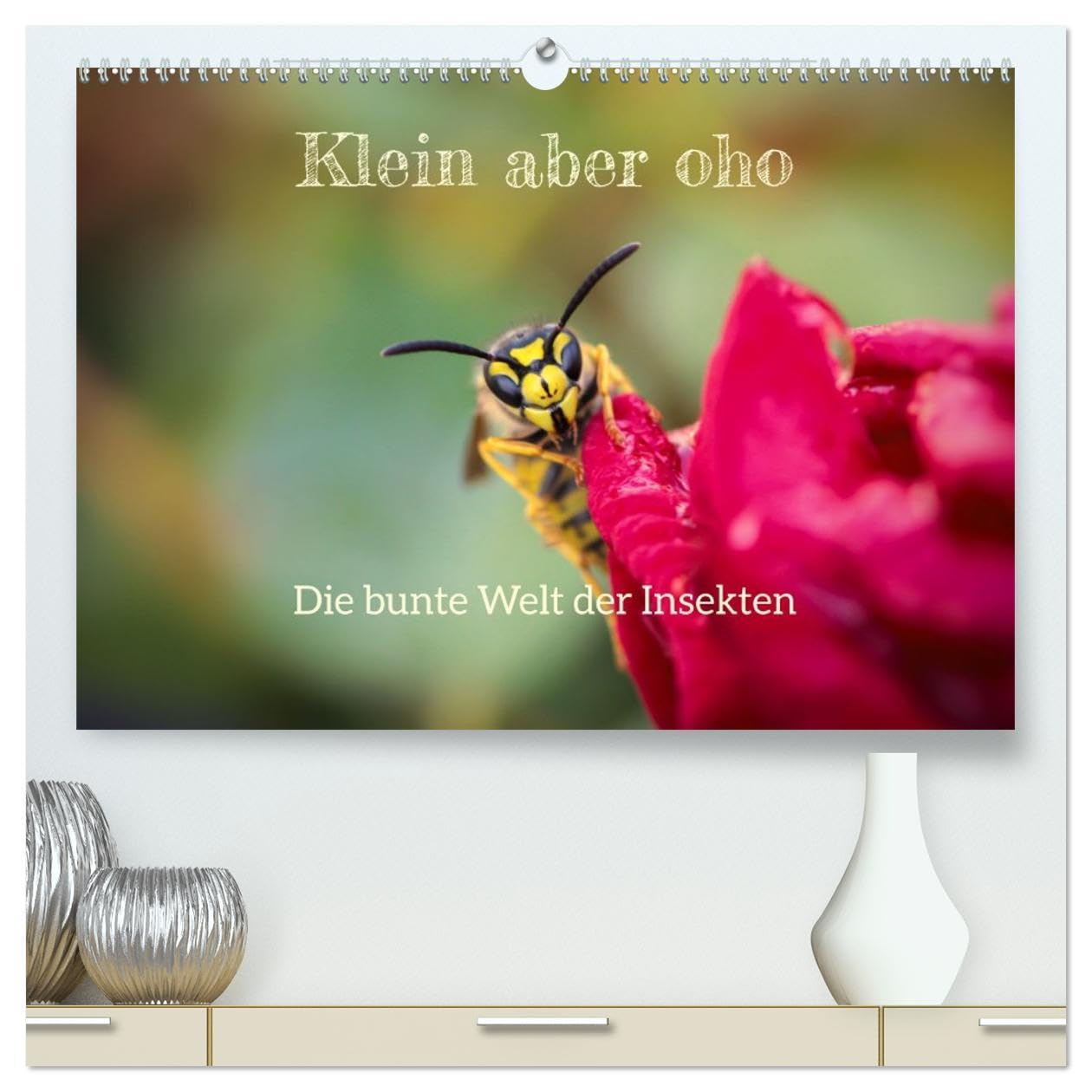 Klein aber oho. Die bunte Welt der Insekten (hochwertiger Premium Wandkalender 2026 DIN A2 quer), Kunstdruck in Hochglanz: Die farbenfrohe Welt der Insekten (CALVENDO Tiere) Social Sciences