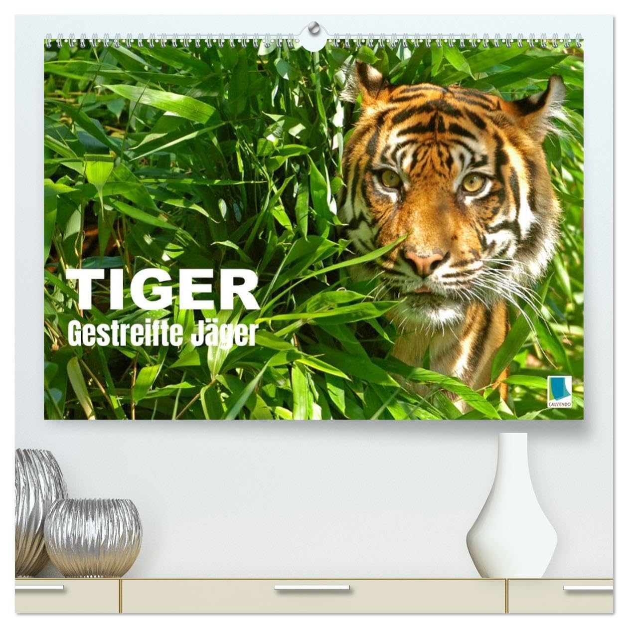 Tiger: Gestreifte Jäger (hochwertiger Premium Wandkalender 2026 DIN A2 quer), Kunstdruck in Hochglanz: Tiger: die größte Katzenart der Erde lebt in Asien (CALVENDO Tiere) Natural Sciences