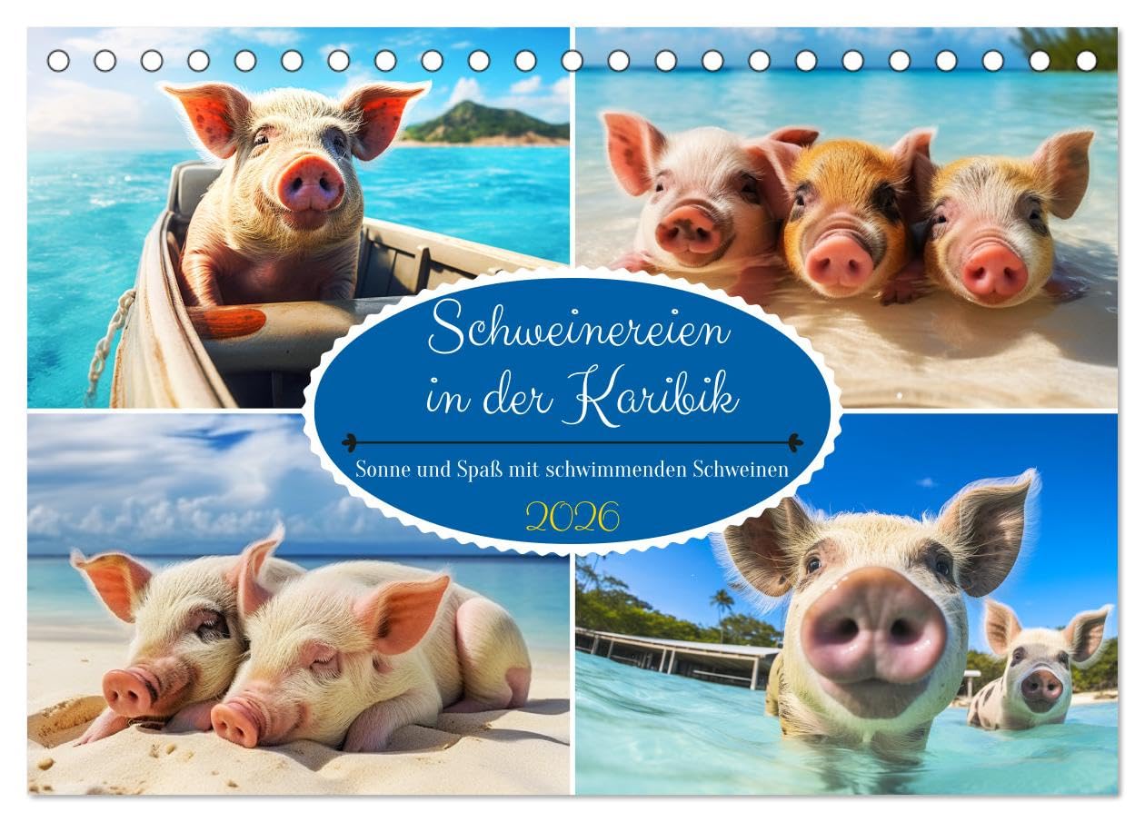 Schweinereien in der Karibik. Sonne und Spaß mit schwimmenden Schweinen (Tischkalender 2026 DIN A5 quer), CALVENDO Monatskalender Film, Art & Culture
