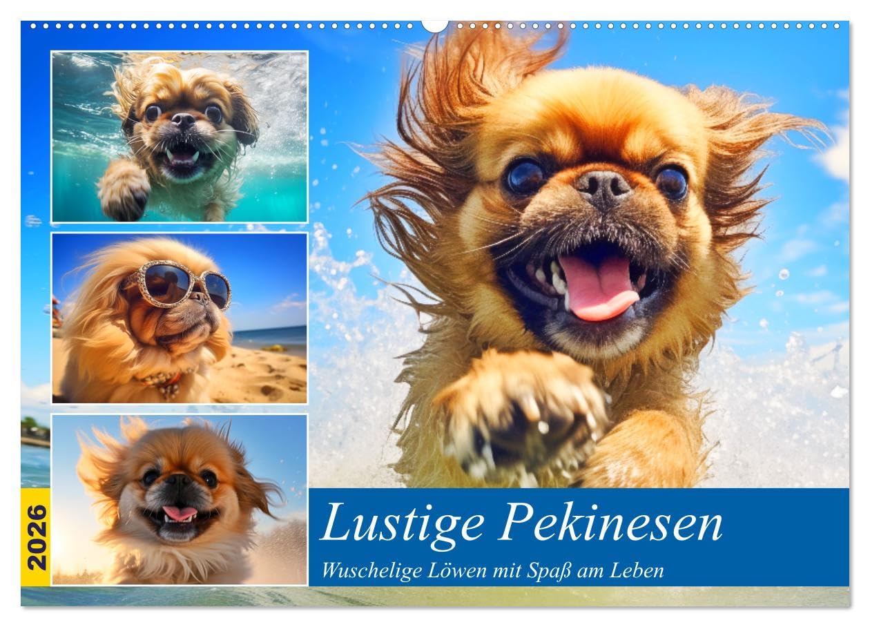 Lustige Pekinesen. Wuschelige Löwen mit Spaß am Leben (Wandkalender 2026 DIN A2 quer), CALVENDO Monatskalender Film, Art & Culture