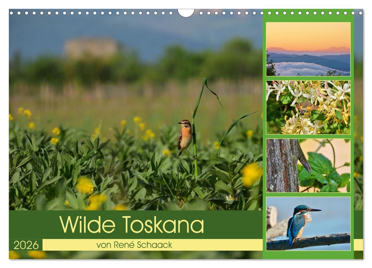 Wilde Toskana - von René Schaack (Wandkalender 2026 DIN A3 quer), CALVENDO Monatskalender Social Sciences