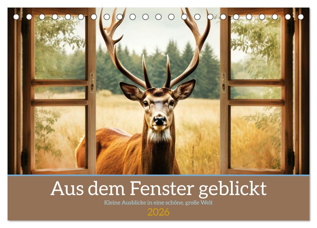 Aus dem Fenster geblickt (Tischkalender 2026 DIN A5 quer), CALVENDO Monatskalender Film, Art & Culture