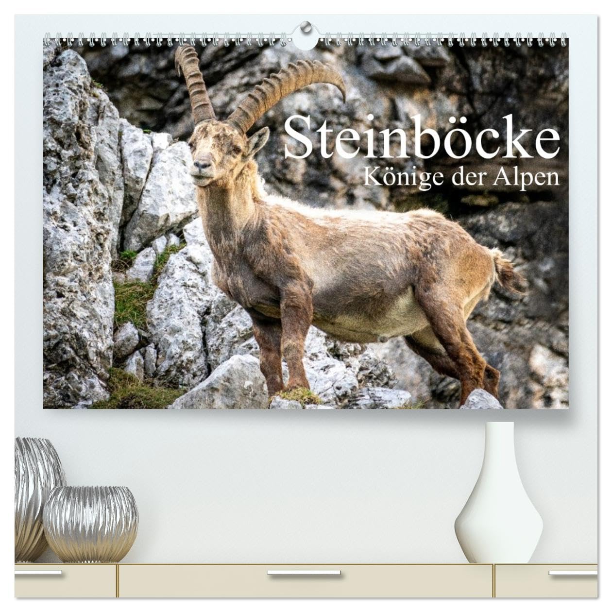 Steinböcke - Majestätische Tiere der Alpen (hochwertiger Premium Wandkalender 2026 DIN A2 quer), Kunstdruck in Hochglanz Leisure, Home & Garden