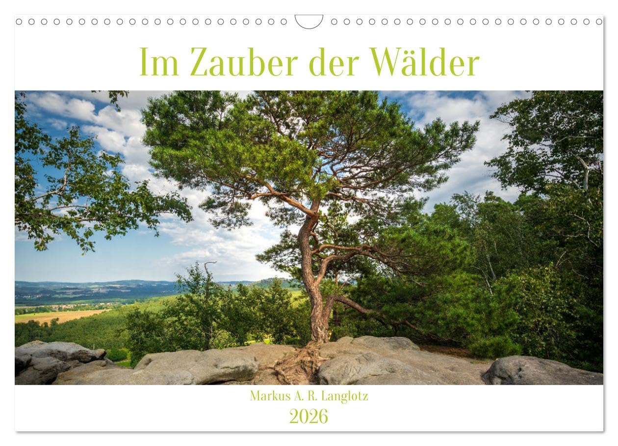 Im Zauber der Wälder (Wandkalender 2026 DIN A3 quer), CALVENDO Monatskalender Social Sciences