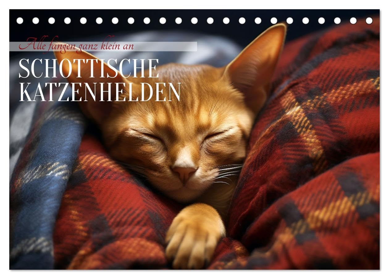 Schottische Katzenhelden (Tischkalender 2026 DIN A5 quer), CALVENDO Monatskalender Natural Sciences