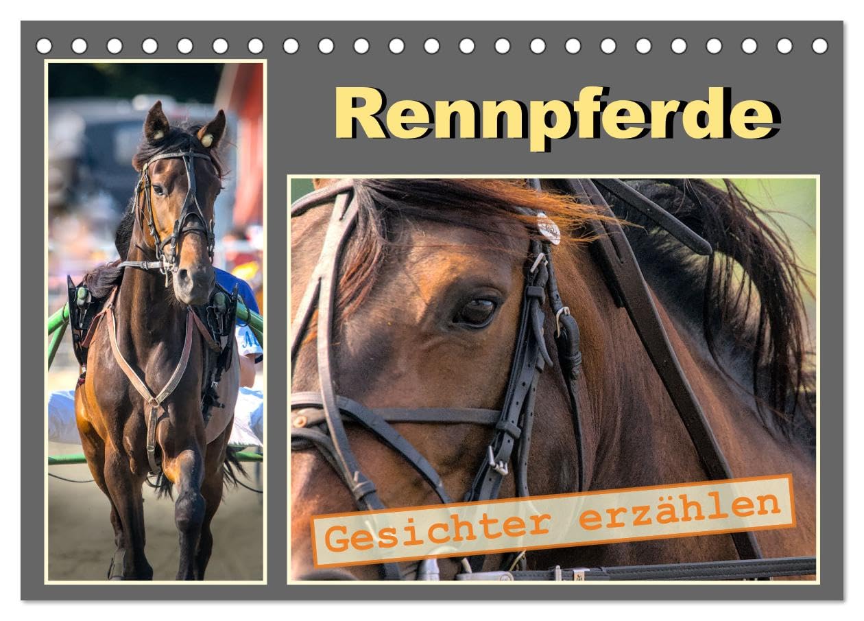 Rennpferde - Gesichter erzählen (Tischkalender 2026 DIN A5 quer), CALVENDO Monatskalender Film, Art & Culture