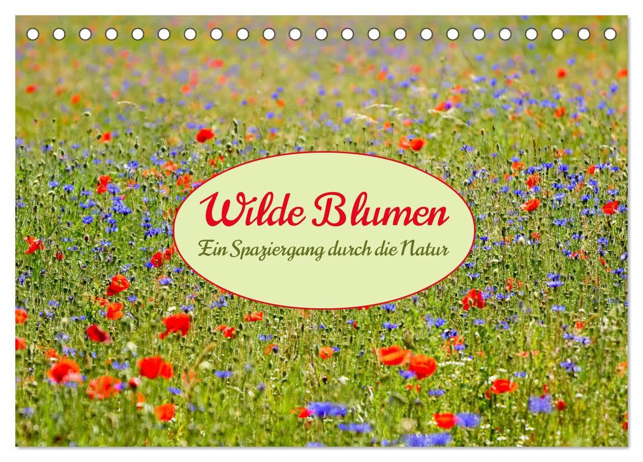 Wilde Blumen - ein Spaziergang durch die Natur (Tischkalender 2026 DIN A5 quer), CALVENDO Monatskalender Leisure, Home & Garden