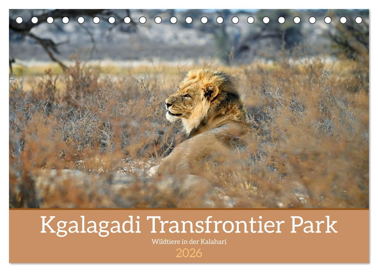 Kgalagadi - Fauna und Wildtiere in der Kalahari (Tischkalender 2026 DIN A5 quer), CALVENDO Monatskalender Leisure, Home & Garden