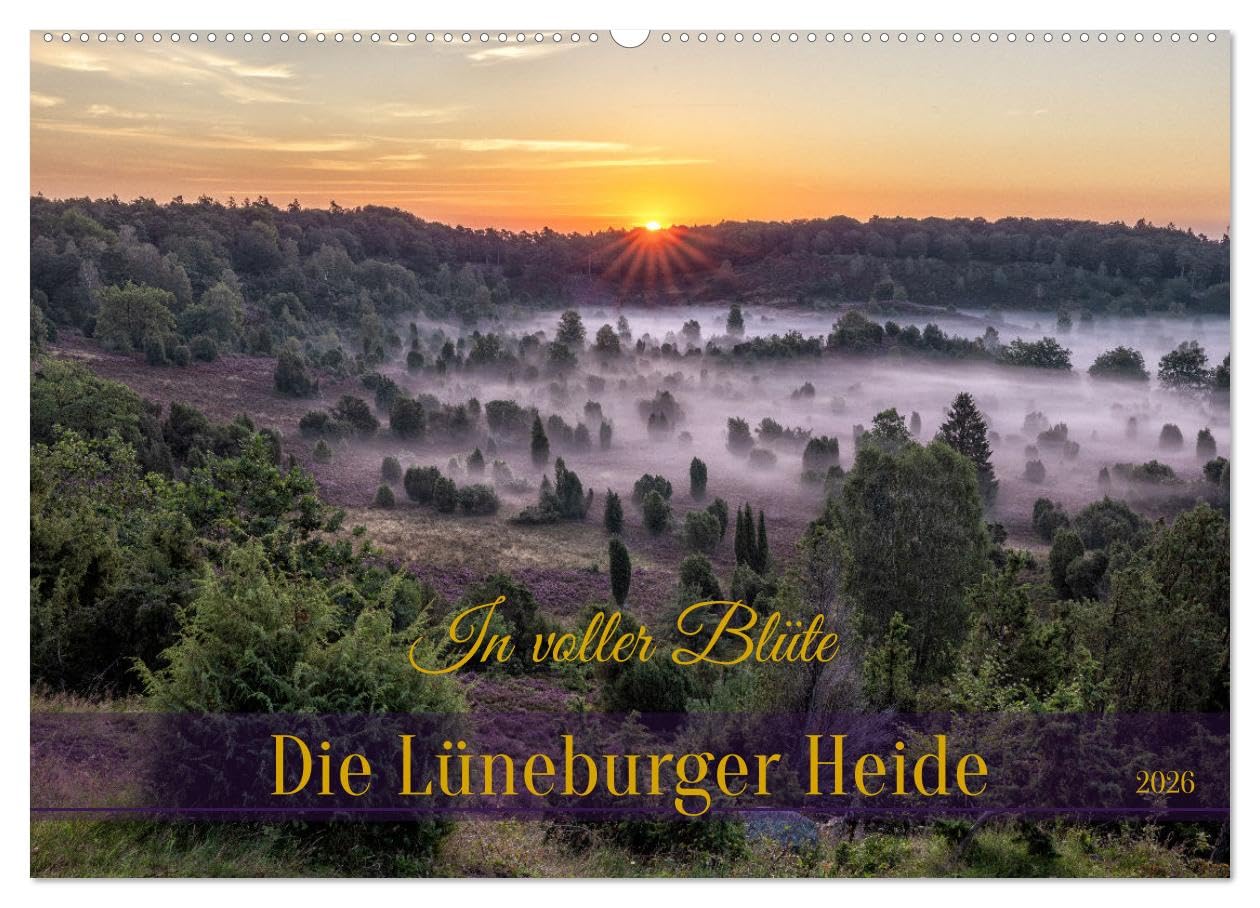 Die Lüneburger Heide - In voller Blüte (Wandkalender 2026 DIN A2 quer), CALVENDO Monatskalender Leisure, Home & Garden