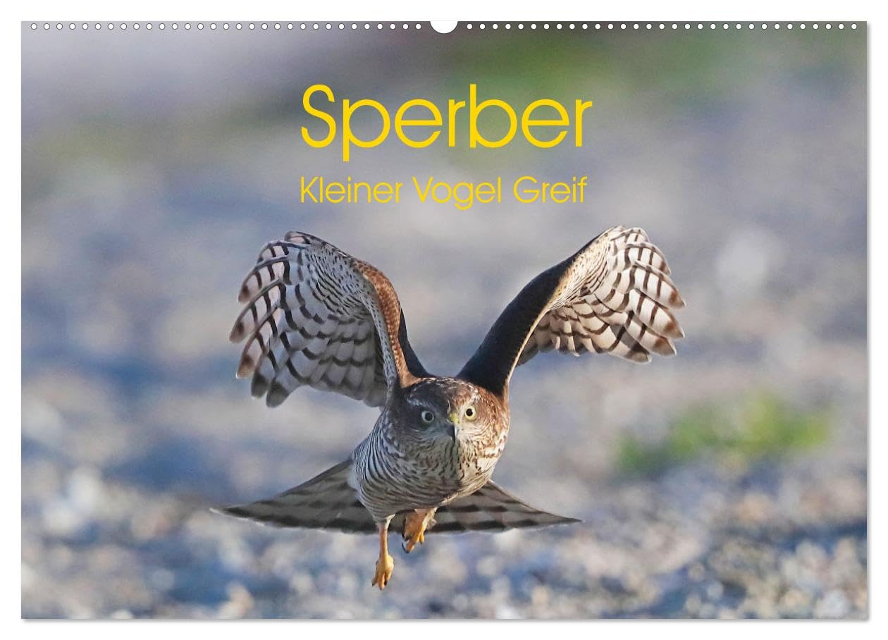 Sperber - Kleiner Vogel Greif (Wandkalender 2026 DIN A2 quer), CALVENDO Monatskalender Natural Sciences