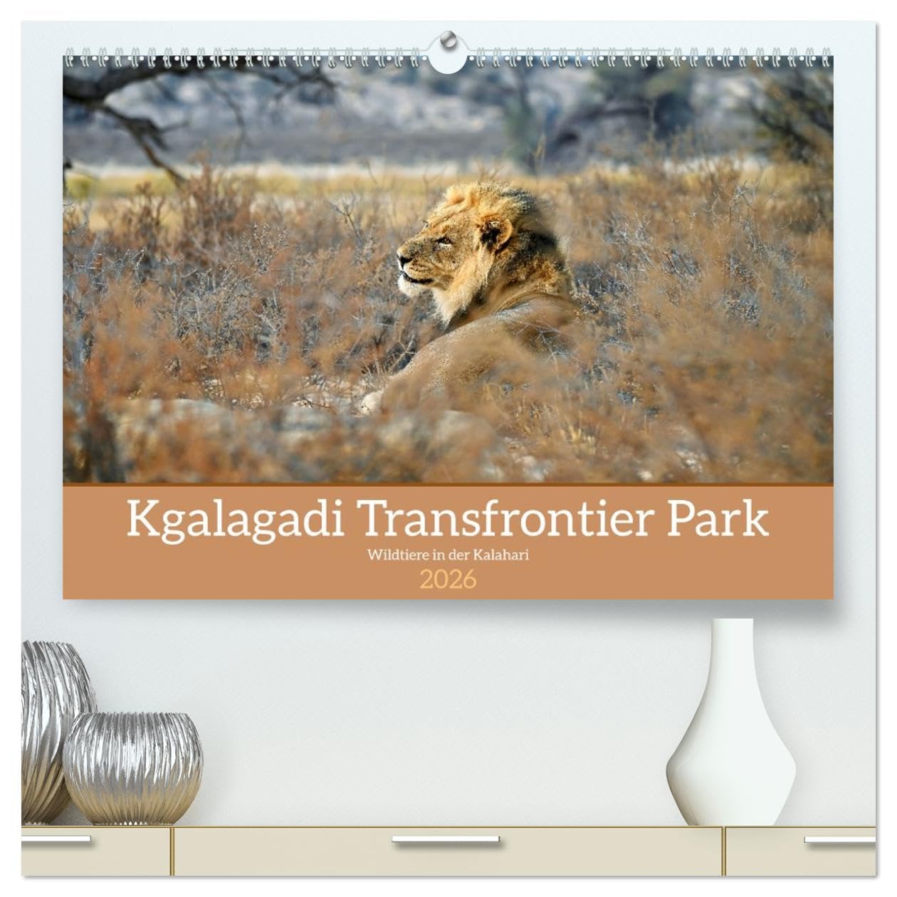 Kgalagadi - Fauna und Wildtiere in der Kalahari (hochwertiger Premium Wandkalender 2026 DIN A2 quer), Kunstdruck in Hochglanz Leisure, Home & Garden