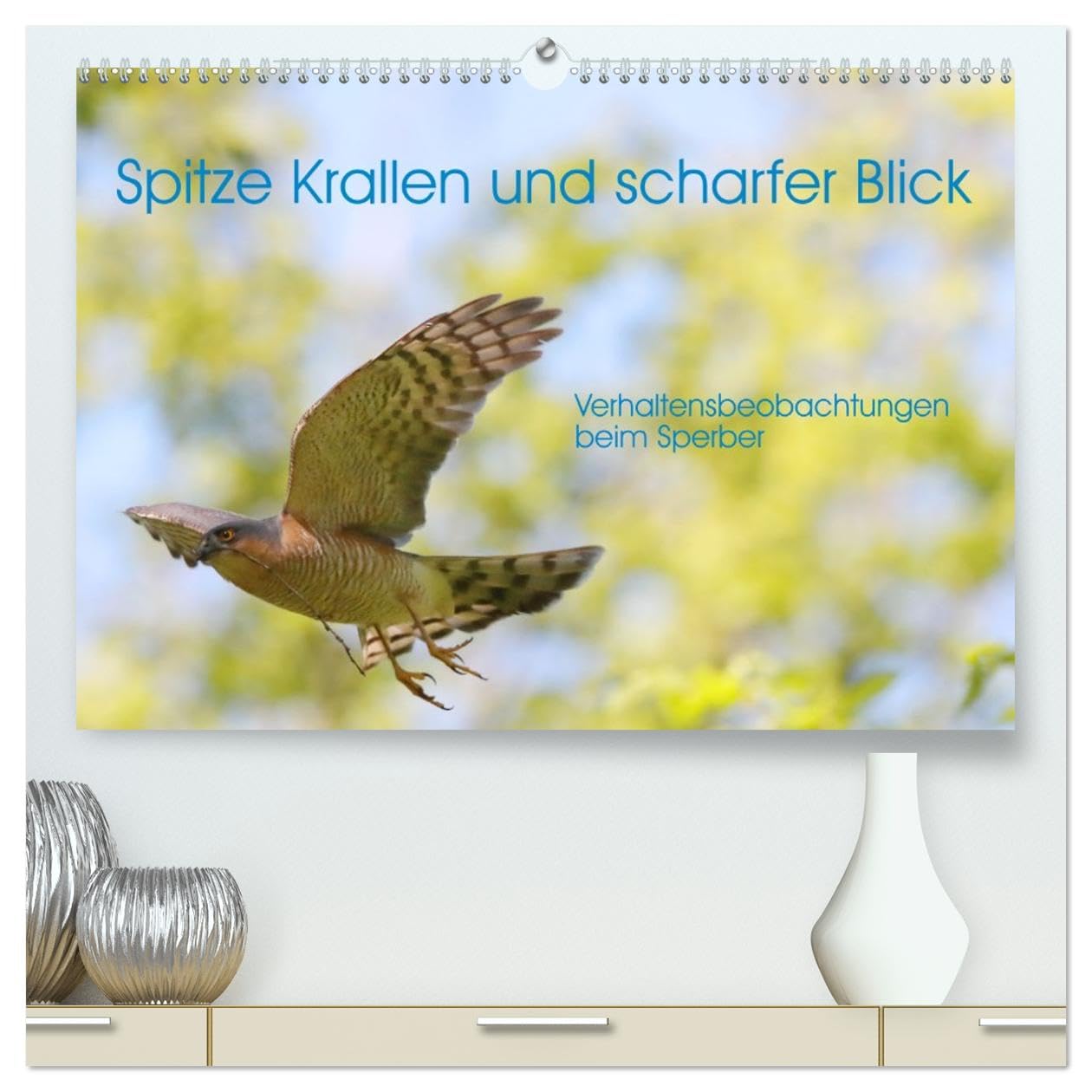 Spitze Krallen und scharfer Blick - Verhalten Sperber (hochwertiger Premium Wandkalender 2026 DIN A2 quer), Kunstdruck in Hochglanz Natural Sciences