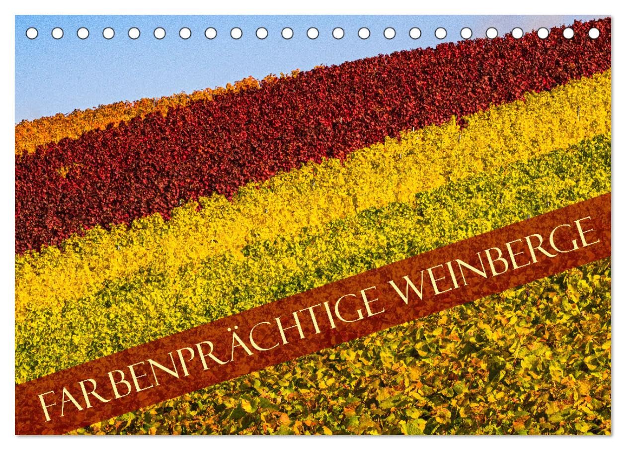 Farbenprächtige Weinberge (Tischkalender 2026 DIN A5 quer), CALVENDO Monatskalender Social Sciences