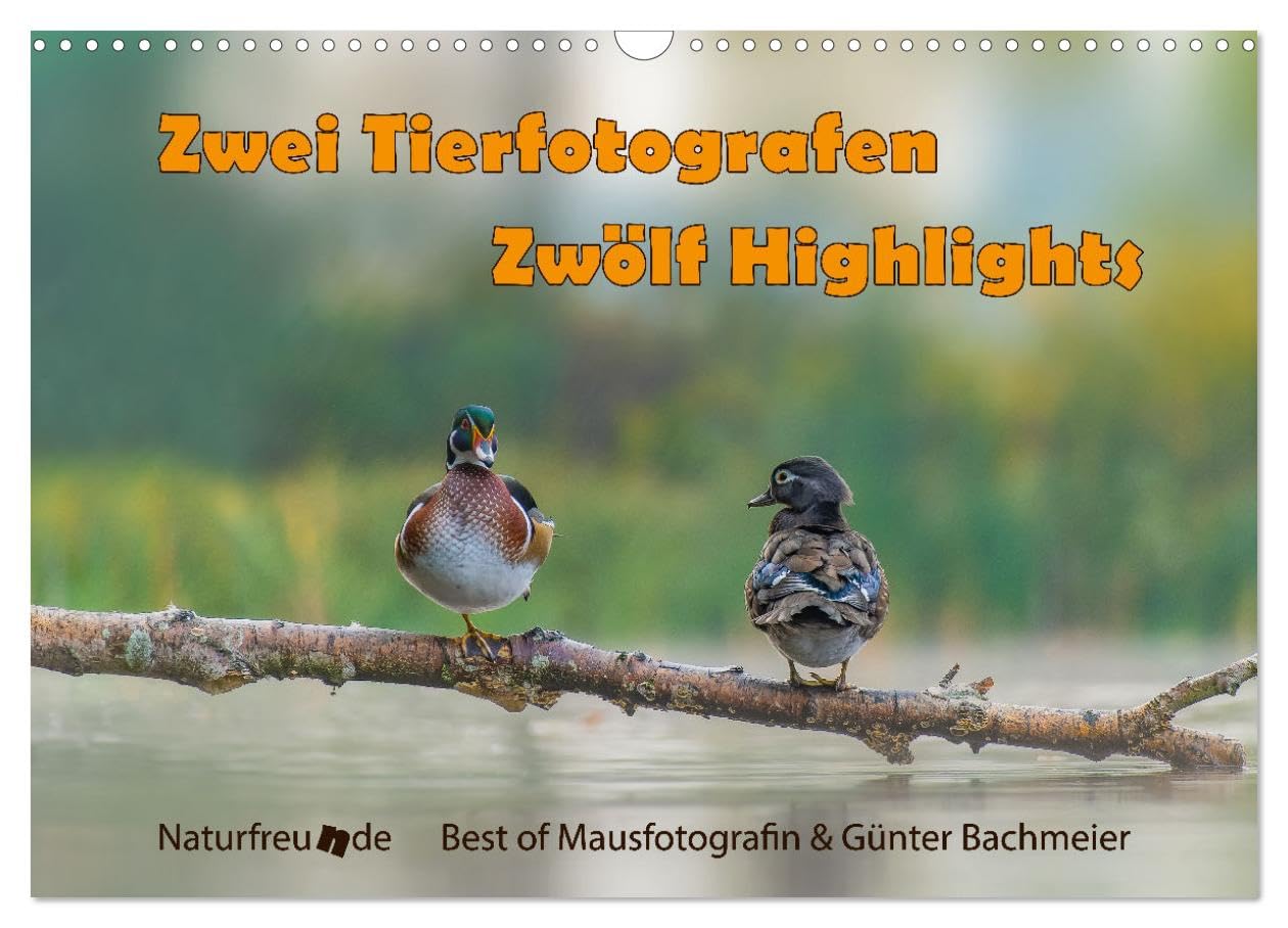 Zwei Tierfotografen Zwölf Highlights (Wandkalender 2026 DIN A3 quer), CALVENDO Monatskalender Natural Sciences
