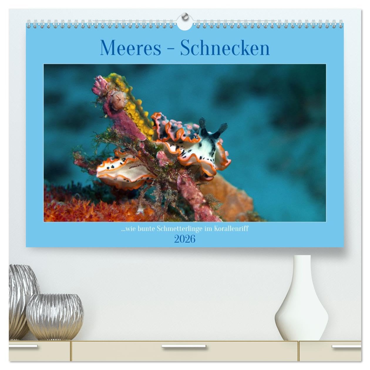 Meeres-Schnecken (hochwertiger Premium Wandkalender 2026 DIN A2 quer), Kunstdruck in Hochglanz Leisure, Home & Garden